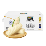 北纬47度 白甜糯玉米4.6斤(230g*10根 ) 东北鲜黏玉米棒真空包装 早餐苞米