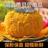 愉果（yuguo）山东潍坊贝贝小南瓜 新鲜蔬菜 5斤实惠装