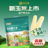 华田禾邦【新玉米】云南拇指玉米2斤(16-22根)儿童甜糯玉米棒 早餐代餐