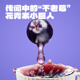 老金磨方桑葚五黑茶100g桑椹干黑枸杞泡水养生茶组合茶包10g*10袋