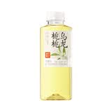 果子熟了【杨紫推荐】无糖栀栀乌龙 茶饮料 0糖0脂肪0能量 500ML*15瓶整箱