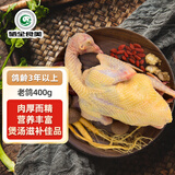 硒全食美无抗富硒老鸽 净重400g/只 冷冻 鸽子生鲜煲汤烧烤鸽子肉鸽