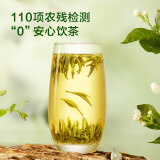 京造 茉莉花茶特级浓香125g*2罐 含精美礼袋茶叶自己喝送礼茶叶