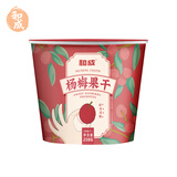 和成杨梅分享桶258g酸话梅桶装蜜饯果干休闲零食礼包 家庭分享桶