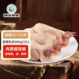 硒全食美无抗富硒乳鸽 净重900g(300g*3只) 冷冻烧烤食材生鲜鸽子鸽子肉