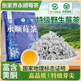 佰利红叶莓茶特级野生张家界降湖南永顺正宗2025新茶茅岩芽尖三高霉茶藤茶