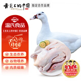 温氏广东甄选番鸭净重4.6斤冷冻生鲜鸭肉煲汤姜母鸭慢养瘦肉型鸭子