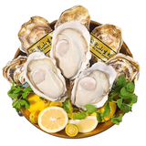 蜀皇 乳山生蚝鲜活大海鲜5斤净重4XL(9-13只)只源头直发包 邮