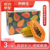 京鲜生 海南冰糖心木瓜净重3斤 2粒 单果650g起 生鲜礼盒