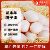 都丰年鸽子蛋20枚共400g 鲜鸽子蛋 源头直发 杂粮喂养 孕妇宝宝放心吃 
