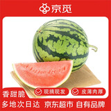 京觅美都西瓜 净重6-7斤 1粒装 无籽西瓜 头茬瓜 新鲜水果 源头直发