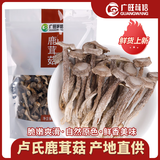 广旺茸信 河南卢氏县特产 鹿茸菇100g*4 振兴乡村