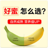 山萃中粮蜂蜜 成熟洋槐蜜1kg 野生天然纯正土蜂蜜 挤压瓶年货节礼物
