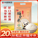 太粮猫牙米长粒米20斤籼米南方一级大米煲仔饭煮粥丝苗米当季新米囤货