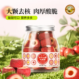 虎标中国香港品牌 水果茶 冻干山楂无核去籽泡水喝的55g/罐装