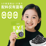 怡颗果不加糖油无添加蓝莓干16g孕妇儿童零食独立小包装原味