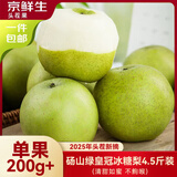 京鲜生安徽砀山 青皮皇冠梨净重5斤 单果200g+ 生鲜水果源头直发