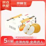 京鲜生 山东莱阳秋月梨 5斤装 6-8粒 单果300g+ 生鲜水果礼盒