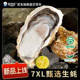 贝司令 鲜活乳山生态生蚝7XL 净重9斤 9-12只 生鲜源头直发 
