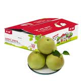趣尝鲜 长城山西青蜜香酥梨 净重4.5斤 单果150g+ 水果 1号店 源头直发