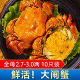 【活蟹】湖塘煙雨 大闸蟹六月黄2.3-2.6两12只鲜活螃蟹现货水产礼盒海鲜源头直发