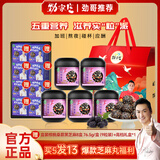 劲家庄黑芝麻丸核桃桑葚健康滋补零食大礼包送长辈 5罐+8盒补品礼盒