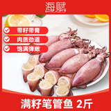 海赋 山东 满籽笔管鱼净重2斤 海兔子 火锅烧烤食材-源头直发