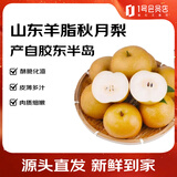 趣尝鲜 新疆库尔勒香梨 净重8斤 特级单果120g+ 水果 源头直发 一件包邮