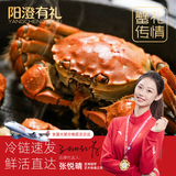【活蟹】阳澄有礼 公4.0-4.3两母3.0-3.3两 4对8只 精品大闸蟹螃蟹 蟹类礼盒 源头直发