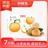 京鲜生 山东莱阳秋月梨 7斤装 6-9粒 单果350g+ 生鲜水果礼盒