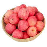 趣尝鲜山东栖霞红富士苹果 单果200g+ 4.5斤 1号会员店 源头直发