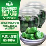 胜屿腊八蒜500g*2 绿蒜醋泡蒜糖蒜头糖醋蒜翡翠腌大蒜腌渍菜烧烤食材
