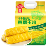 十月稻田 黄甜糯玉米 8根 3.52斤 真空包装 东北粘玉米棒 低脂早餐