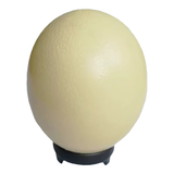 蒙元鸵鸵鸟蛋 2.5斤(1枚)新鲜巨无霸特大禽蛋源头直发包邮 礼盒特产