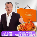 【活蟹】湖鲜阳澄 大闸蟹 去绳足重 全母蟹2.3-2.6两10只 鲜活现货中秋螃蟹送礼礼盒装