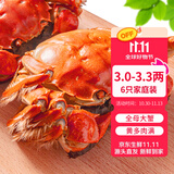 【活蟹】乾澄大闸蟹现货全母蟹2.5-2.8两8只 去绳足重鲜活六月黄螃蟹海鲜礼盒源头直发