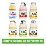 养味（yanwee）果味牛奶 乳酸菌芒果草莓香蕉整箱 学生宿舍早餐奶饮料 220g*6瓶