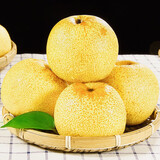 榴希希砀山酥梨 箱重：9斤 整箱数量：15-25个