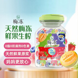 溜溜梅4味乳酸菌水果冻冻桶 果浆果汁鲜榨0脂肪0防腐色素健康 1kg/桶
