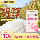 太粮象牙香米大米10斤装 长粒猫牙米南方大米 油粘米京东自营