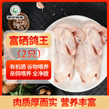 硒全食美无抗富硒鸽王净重700g(350g*2只)  冷冻鸽子生鲜煲汤烧烤鸽子
