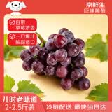 京鲜生 云南巨峰葡萄 尝鲜2-2.5斤 可剥皮食用 易掉粒 生鲜水果