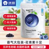 沃田蓝独立小包蓝莓果干孕妇蜜饯果脯小吃办公室休闲零食 500g*1袋