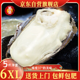 蜀皇 乳山生蚝鲜活特大牡蛎海蛎子5斤蚝王净重(6-10)只源头直发包 邮 