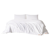 蚕花娘娘【丝路传奇】100%桑蚕丝被子芯秋冬暖被 丝重5斤200*230cm【白】