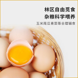 九華粮品散养土鸡蛋50枚 净重1.9kg  新鲜草鸡蛋 月子蛋 宝宝蛋 