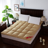 南极人（Nanjiren）床垫家纺 加厚保暖立体羽丝绒床垫床褥子双人学生宿舍床垫子 咖啡色 180*200cm