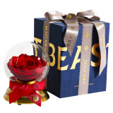 野兽派（THE BEAST）白雪公主的苹果 音乐水晶球巨型永生花玫瑰礼盒 保鲜花盒 玫瑰花情人节生日礼物 送女生