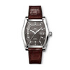 【<em>IWC</em>万国达文西系列精钢机械女表IW452301