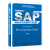 工程师突击：SAP ABAP实用程序开发攻略